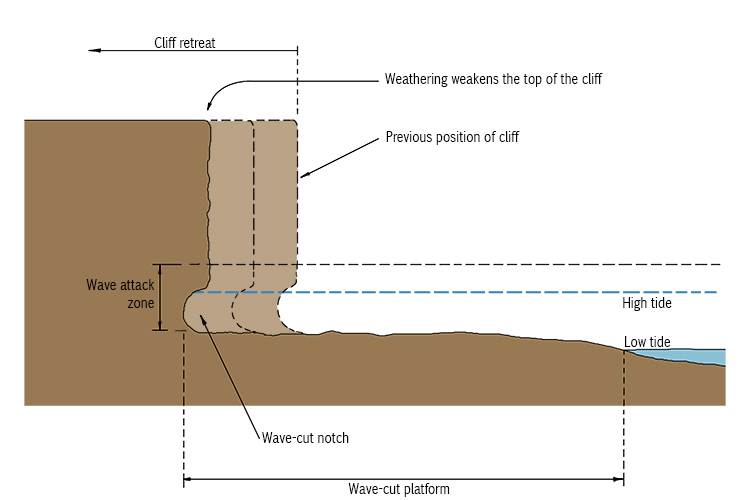 Weathering weakens the top of the cliff.Erosion weakens the base of the cliff.